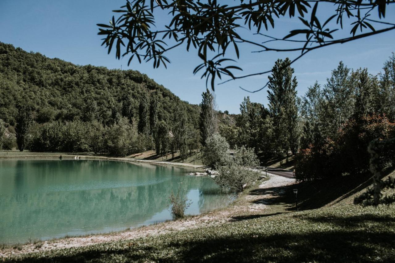 Bed and Breakfast L'Anfora Country Club Basciano Zewnętrze zdjęcie