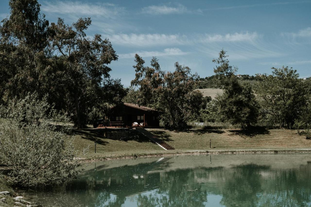 Bed and Breakfast L'Anfora Country Club Basciano Zewnętrze zdjęcie