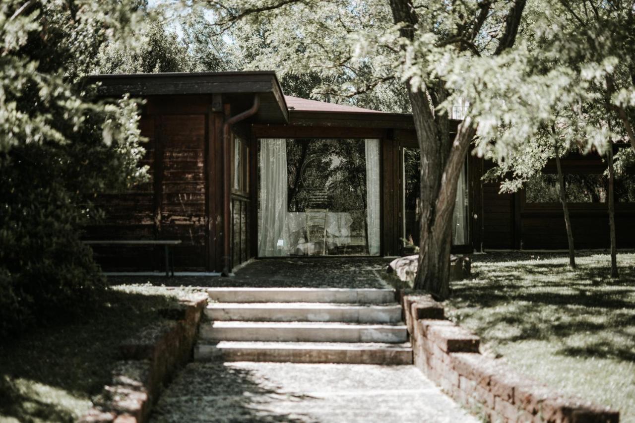 Bed and Breakfast L'Anfora Country Club Basciano Zewnętrze zdjęcie