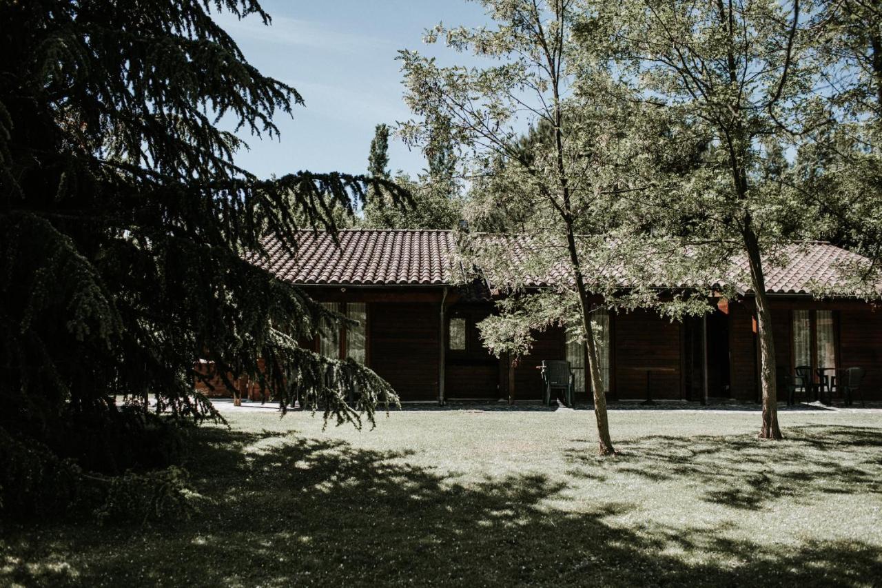 Bed and Breakfast L'Anfora Country Club Basciano Zewnętrze zdjęcie