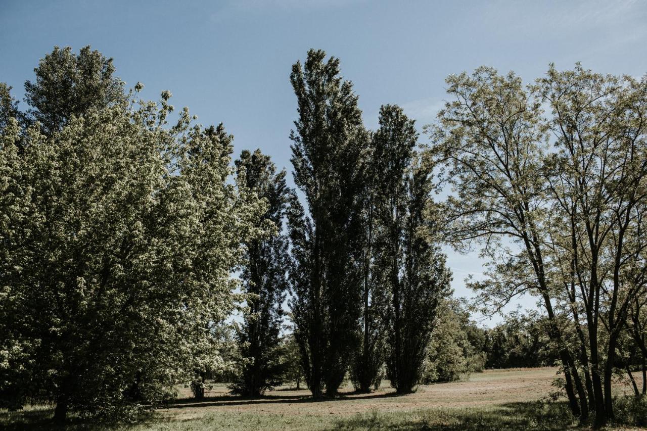 Bed and Breakfast L'Anfora Country Club Basciano Zewnętrze zdjęcie